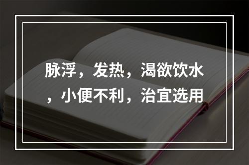 脉浮，发热，渴欲饮水，小便不利，治宜选用