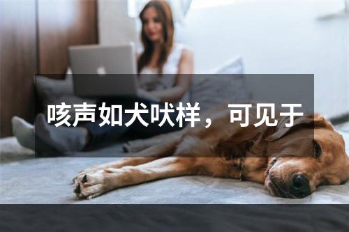 咳声如犬吠样，可见于