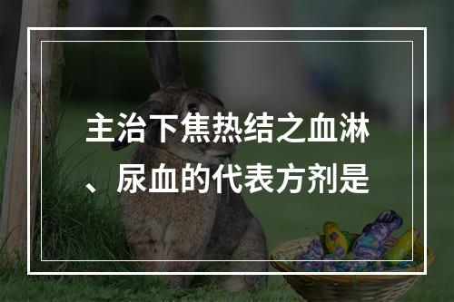 主治下焦热结之血淋、尿血的代表方剂是