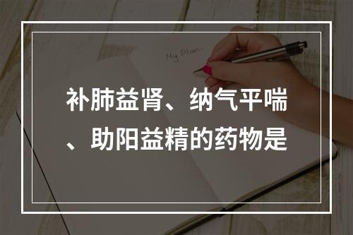 补肺益肾、纳气平喘、助阳益精的药物是