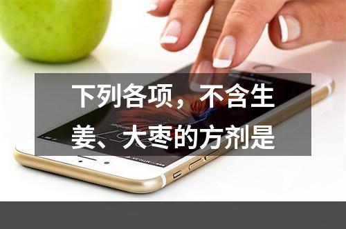 下列各项，不含生姜、大枣的方剂是