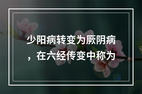 少阳病转变为厥阴病，在六经传变中称为