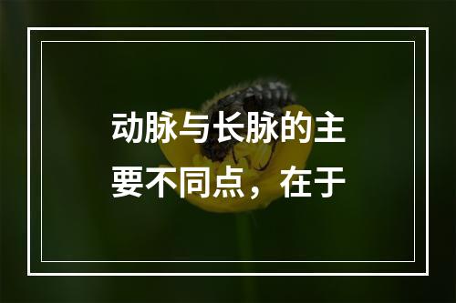 动脉与长脉的主要不同点，在于