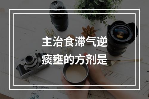 主治食滞气逆痰壅的方剂是