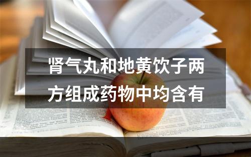 肾气丸和地黄饮子两方组成药物中均含有