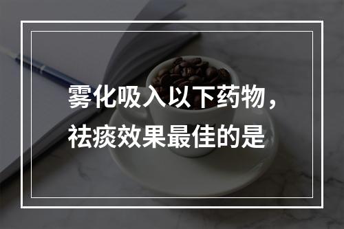 雾化吸入以下药物，祛痰效果最佳的是