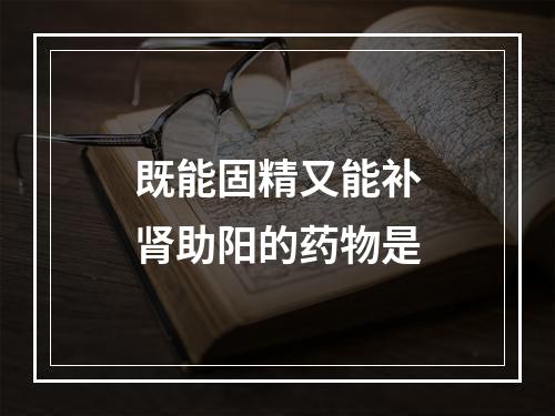 既能固精又能补肾助阳的药物是