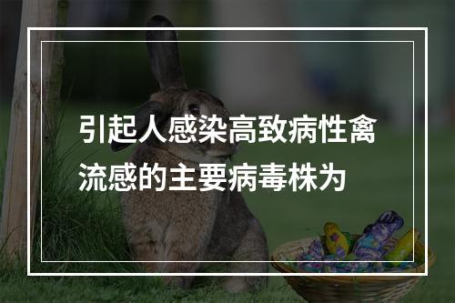 引起人感染高致病性禽流感的主要病毒株为