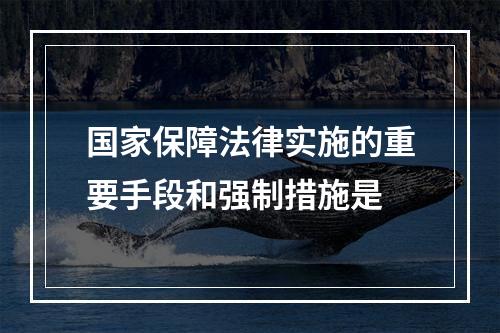 国家保障法律实施的重要手段和强制措施是