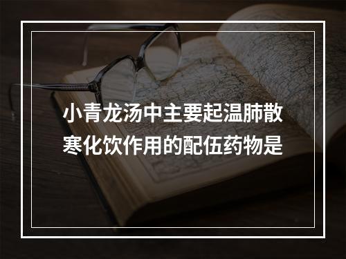 小青龙汤中主要起温肺散寒化饮作用的配伍药物是