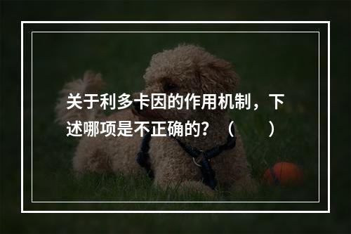 关于利多卡因的作用机制，下述哪项是不正确的？（　　）