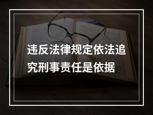 违反法律规定依法追究刑事责任是依据