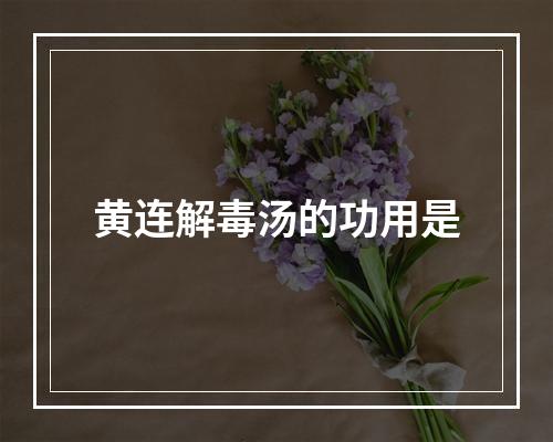 黄连解毒汤的功用是