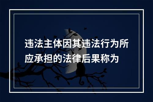 违法主体因其违法行为所应承担的法律后果称为