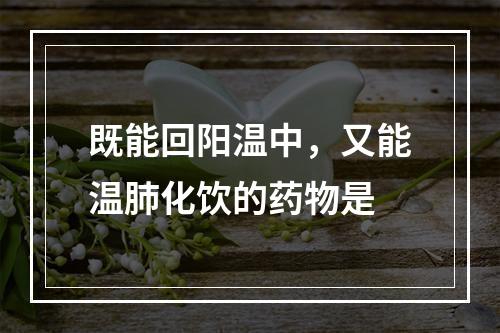 既能回阳温中，又能温肺化饮的药物是