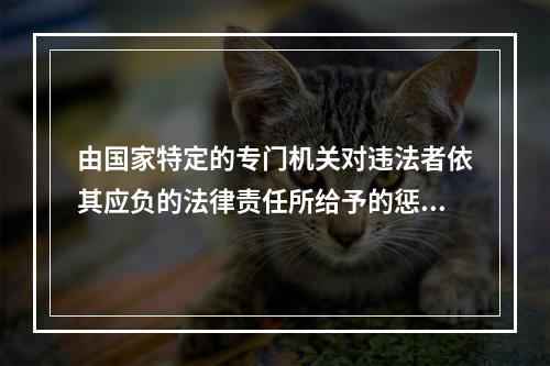 由国家特定的专门机关对违法者依其应负的法律责任所给予的惩罚措