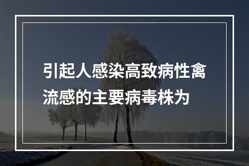 引起人感染高致病性禽流感的主要病毒株为