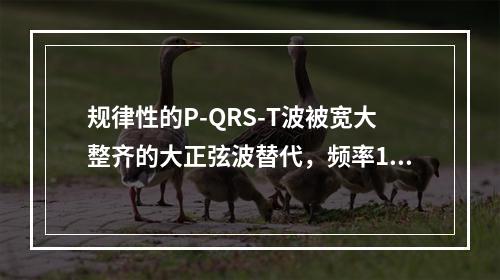 规律性的P-QRS-T波被宽大整齐的大正弦波替代，频率150