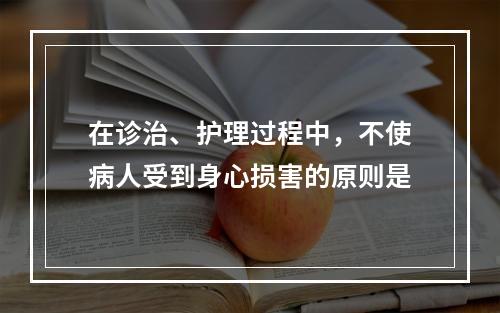 在诊治、护理过程中，不使病人受到身心损害的原则是