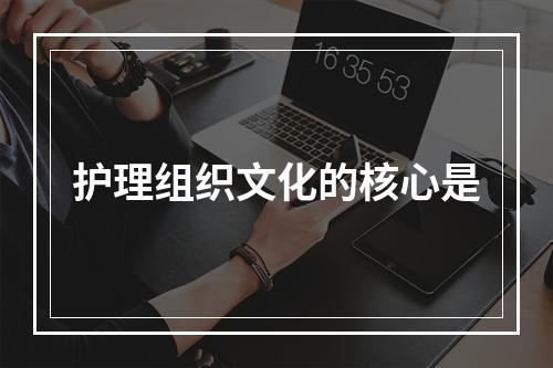 护理组织文化的核心是