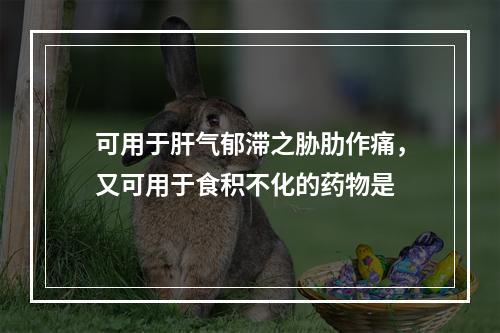 可用于肝气郁滞之胁肋作痛，又可用于食积不化的药物是