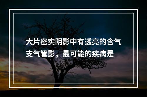 大片密实阴影中有透亮的含气支气管影，最可能的疾病是