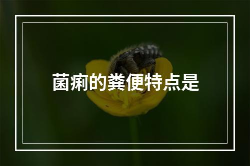 菌痢的粪便特点是