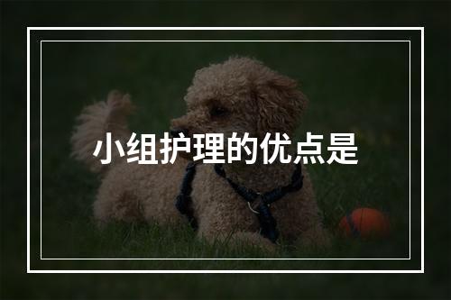 小组护理的优点是