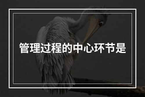 管理过程的中心环节是