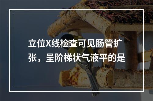 立位X线检查可见肠管扩张，呈阶梯状气液平的是