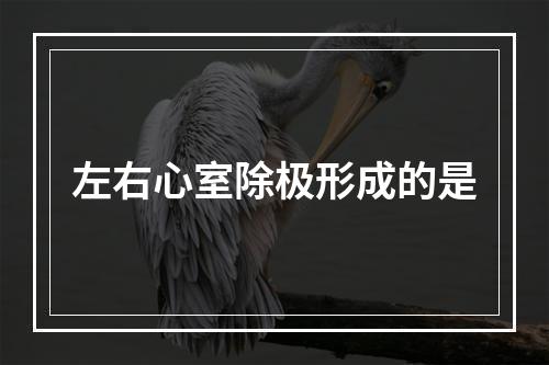 左右心室除极形成的是