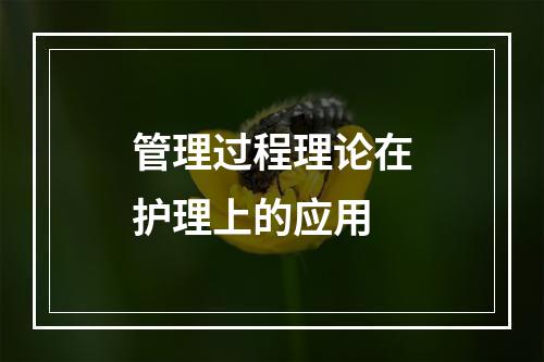 管理过程理论在护理上的应用