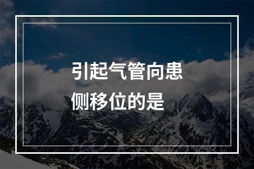 引起气管向患侧移位的是