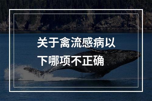 关于禽流感病以下哪项不正确