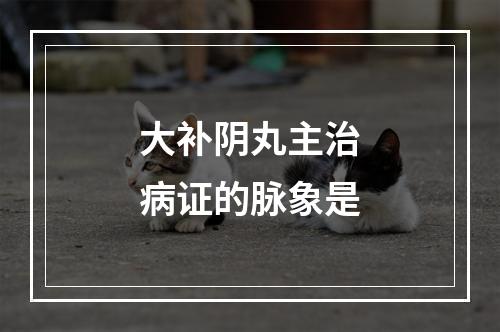 大补阴丸主治病证的脉象是