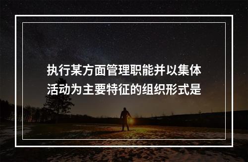 执行某方面管理职能并以集体活动为主要特征的组织形式是