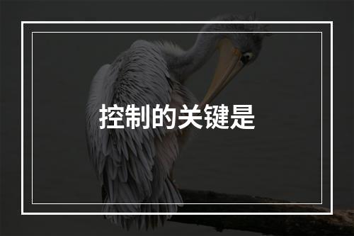 控制的关键是