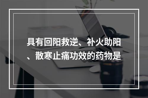 具有回阳救逆、补火助阳、散寒止痛功效的药物是