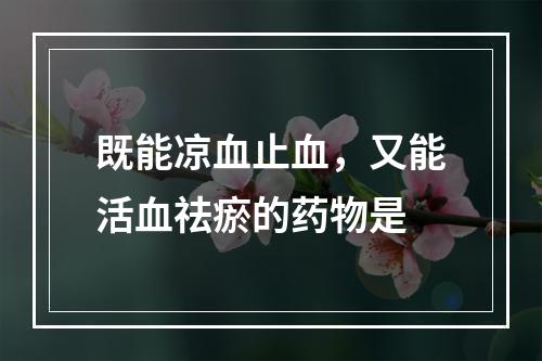 既能凉血止血，又能活血祛瘀的药物是