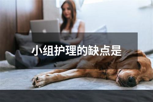 小组护理的缺点是