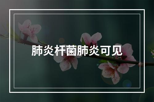 肺炎杆菌肺炎可见