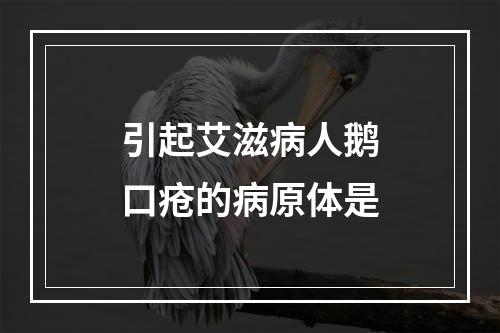 引起艾滋病人鹅口疮的病原体是