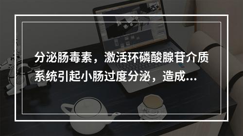 分泌肠毒素，激活环磷酸腺苷介质系统引起小肠过度分泌，造成剧烈