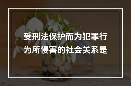 受刑法保护而为犯罪行为所侵害的社会关系是