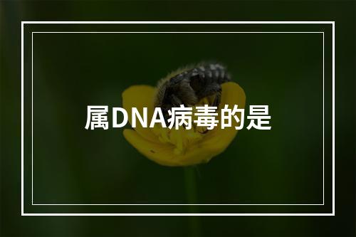 属DNA病毒的是