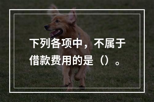 下列各项中，不属于借款费用的是（）。