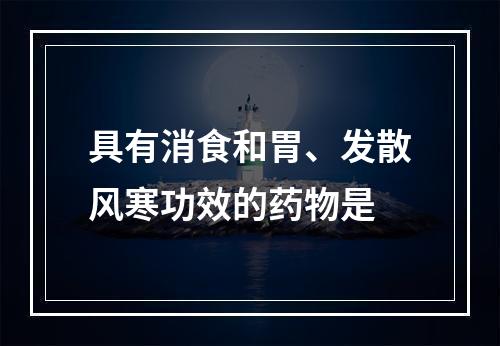 具有消食和胃、发散风寒功效的药物是