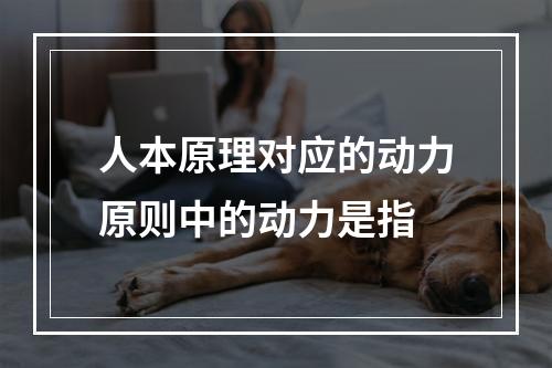 人本原理对应的动力原则中的动力是指