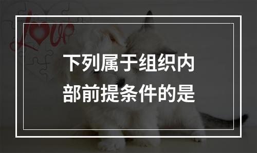 下列属于组织内部前提条件的是