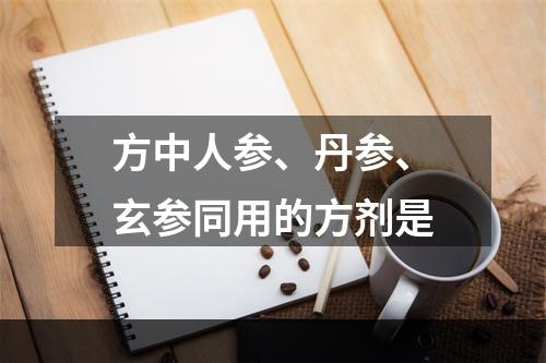 方中人参、丹参、玄参同用的方剂是